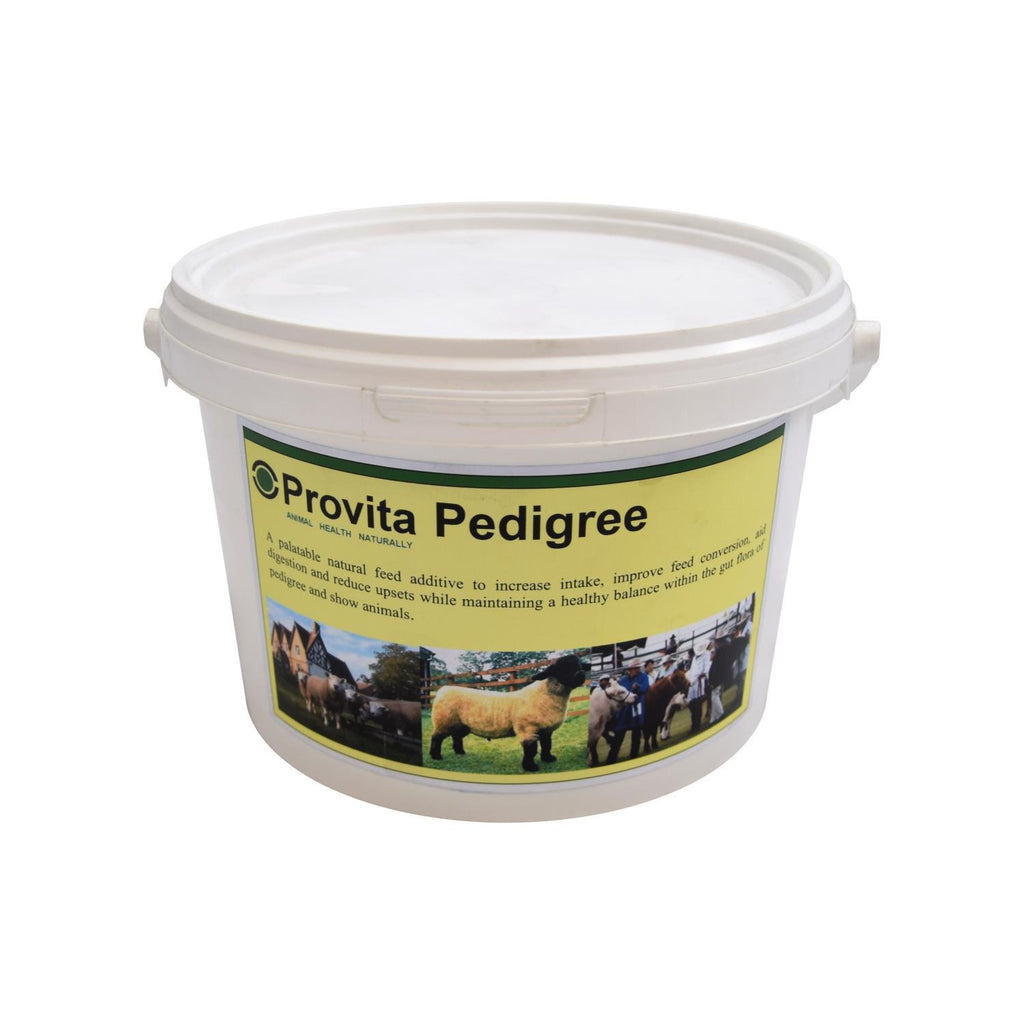 Pedigree feed new arrivals