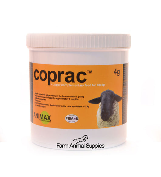 Copinox Capsules For Ewes & Calves  4g - 250