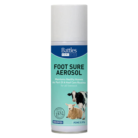 Battles Foot Health Aerosol - 150g