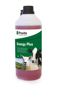 Provita Energy Plus 1 Litre
