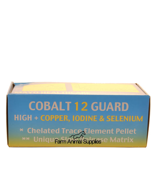 Mayo Healthcare - Cobalt 12 Guard Sheep with Copper
