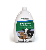 Provita Cattle Vitamin Drench - 1L